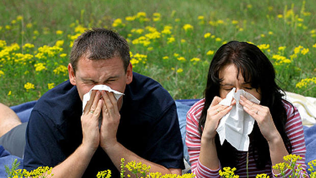 Top allergy cities of 2013 