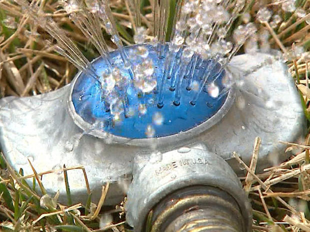 Water Restrictions Sprinkler Grass Lawn Hose 