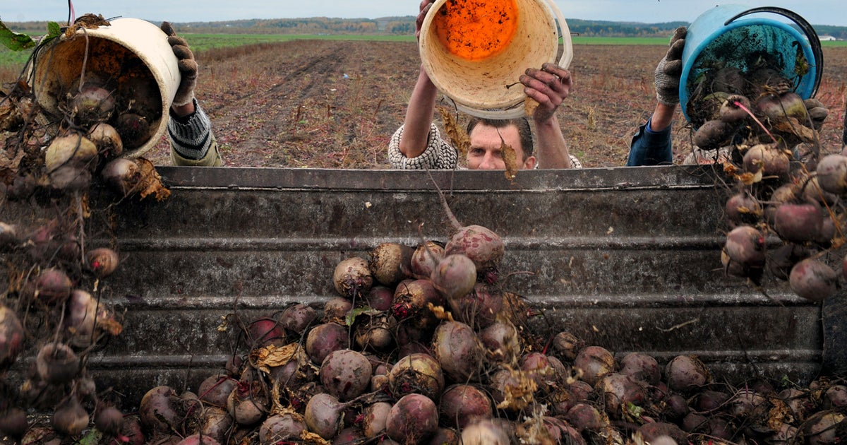 Daily dose of beet juice may help people with high blood pressure CBS