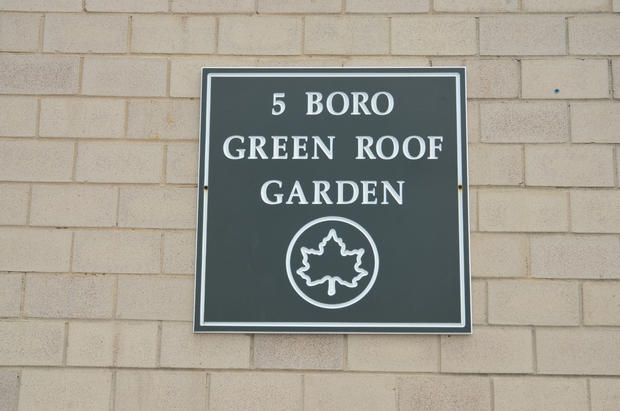 5 Boro Green Roof Garden 