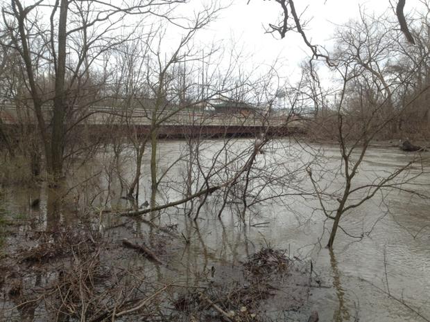 Des Plaines River Flooding 