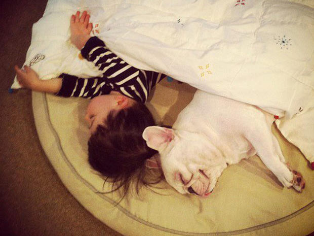 Tasuku and Muu nap in Muu's dog bed 