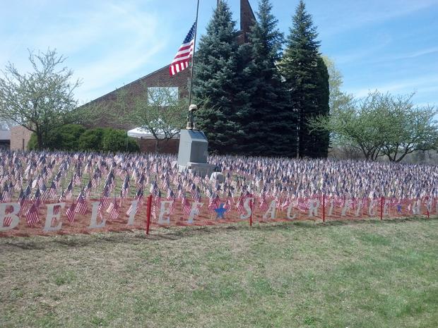 field of flags 