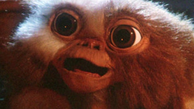 r-GREMLINS-REMAKE-large570.jpg 