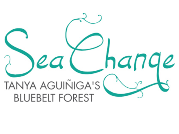 sea change laguna art museum 