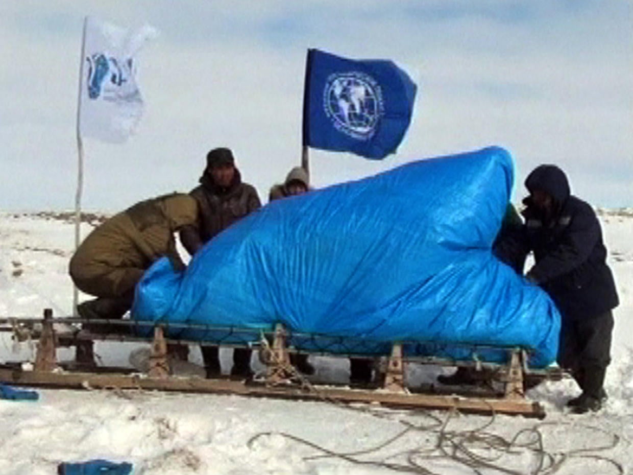 Woolly Mammoth Containing Liquid Blood Discovered In Russia - CBS News