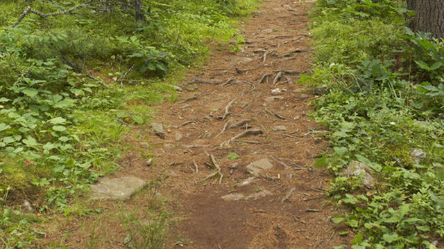 hiking-trail-generic.jpg 