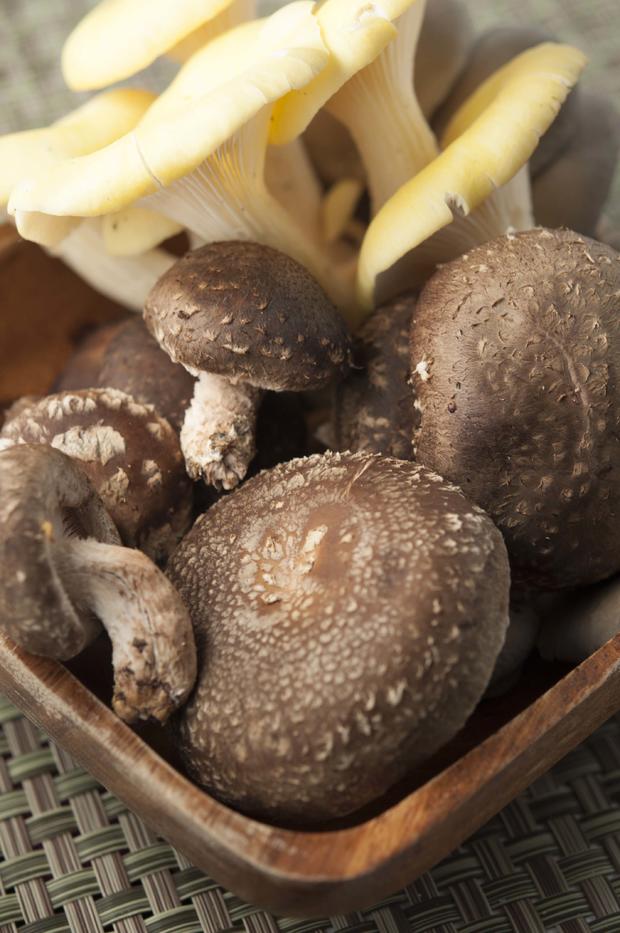 Oyster and Shiitake Mushrooms 