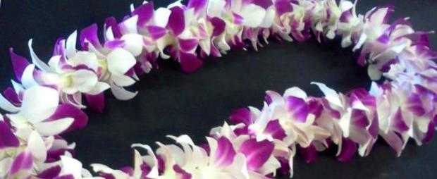 Leis in OC Header island florals FB 
