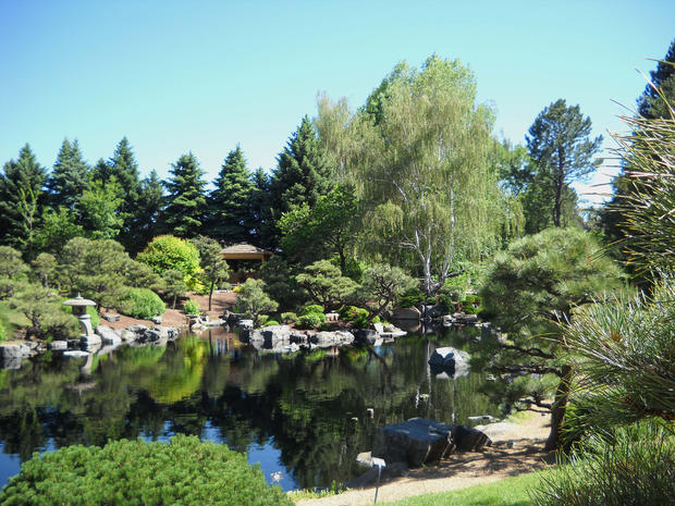 <a href="http://denver.cbslocal.com/youreportform/">Submit a YouReport Photo</a> ... Denver Botanic Gardens 