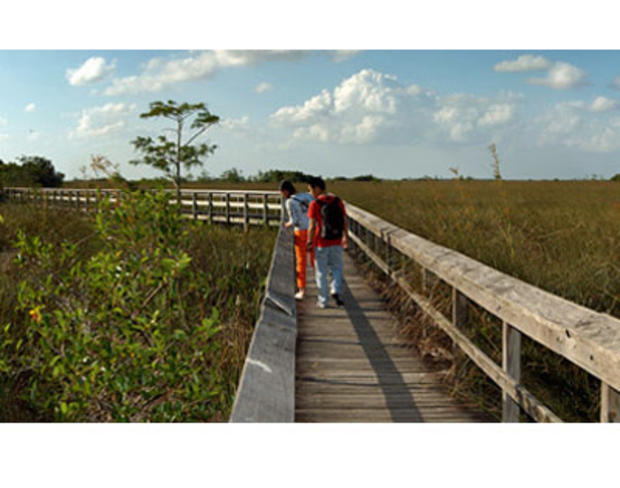 Everglades Park 