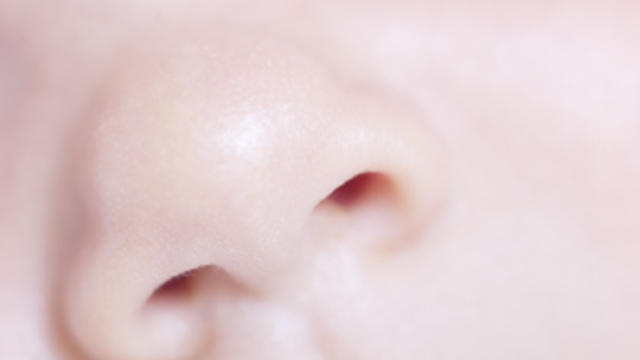nose.jpg 