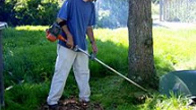 weed-whacker---wikipedia.jpg 