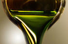algae-oil.jpg 