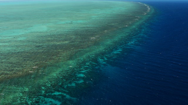 Great Barrier Reef, Australia, reef, generic 
