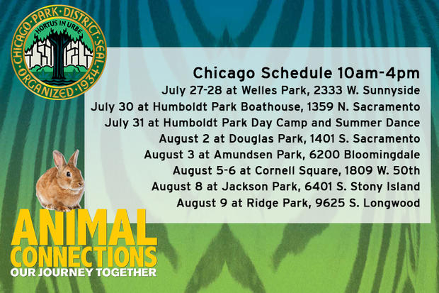 animal_connections_chicagoschedule 