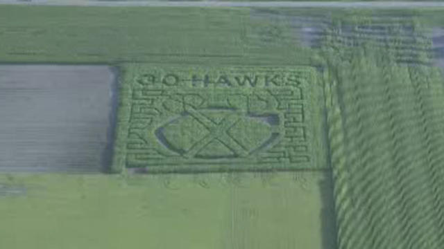 blackhawks-corn-maze.jpg 