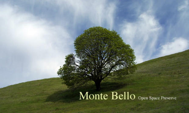 monte_bello_main 