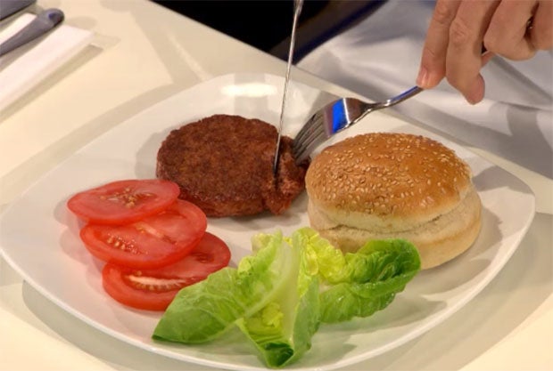 Synthetic burger 