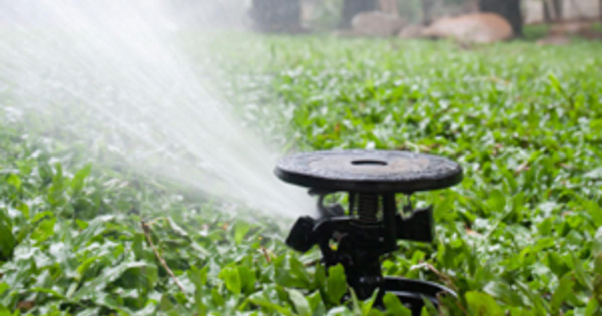 Fort Worth Watering Restrictions Now Permanent CBS DFW