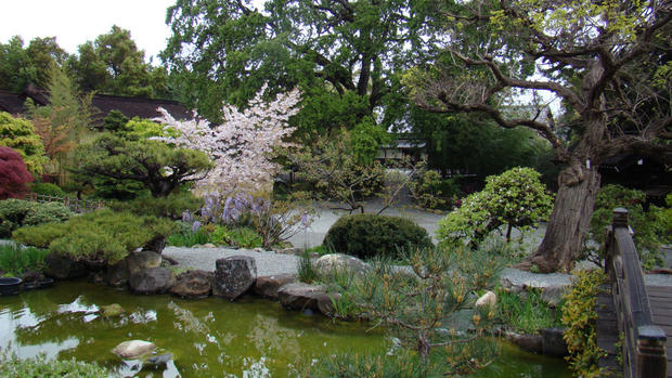 Hakone Gardens 