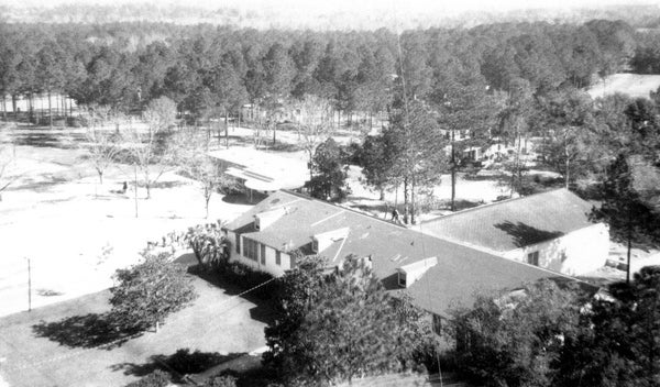 Unmarked gave sites on the grounds of the Dozier School for Boys.