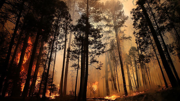 Massive fire still burning in Yosemite 