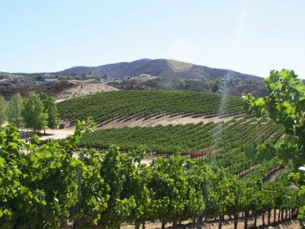 temecula valley winegrower association 