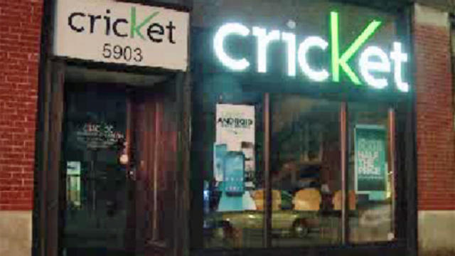 eliberty_cricket.jpg 
