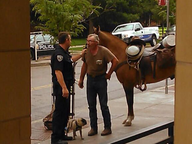 horse arrest drunk riding boulder  (credit @LostOnTheHill) 
