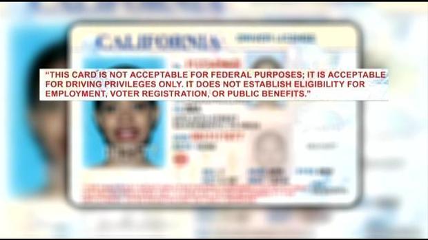 Immigrant license 