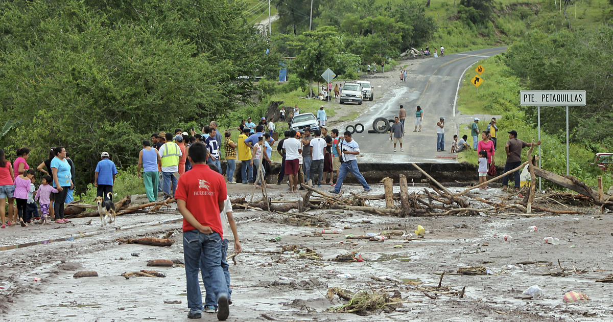 SciELO - Brasil - March or Die: road-killed herpetofauna along BR
