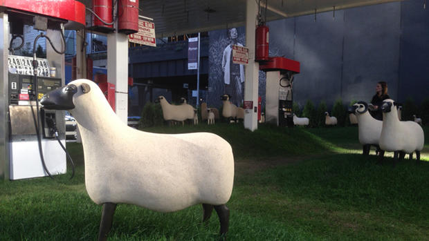 Gas Station Sheep 
