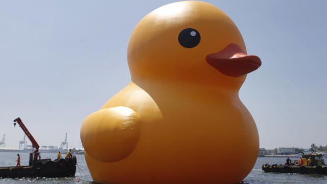 rubber_duck181118268.jpg 