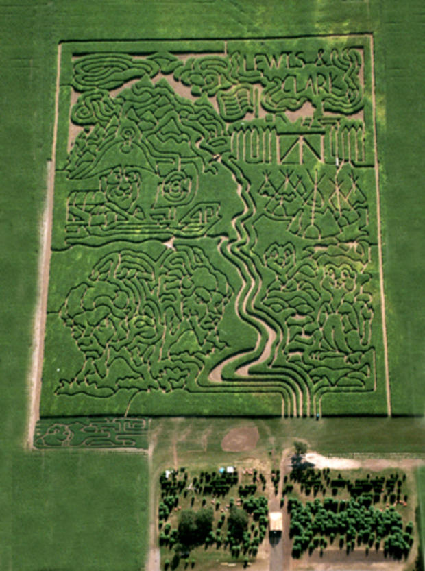 2004_Richardson_maze.jpg 