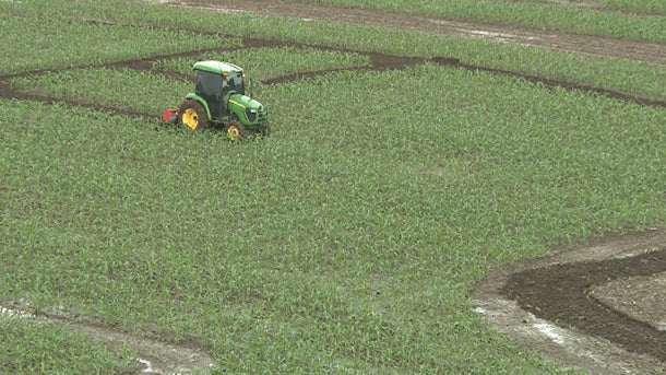 Maze_Tractor_Cutting_1.jpg 