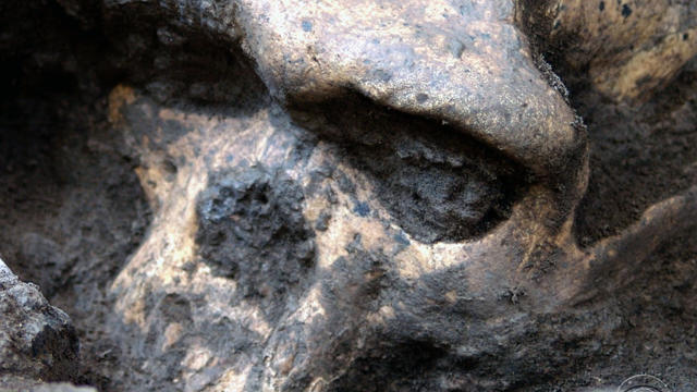 131017-ancient_skull.jpg 