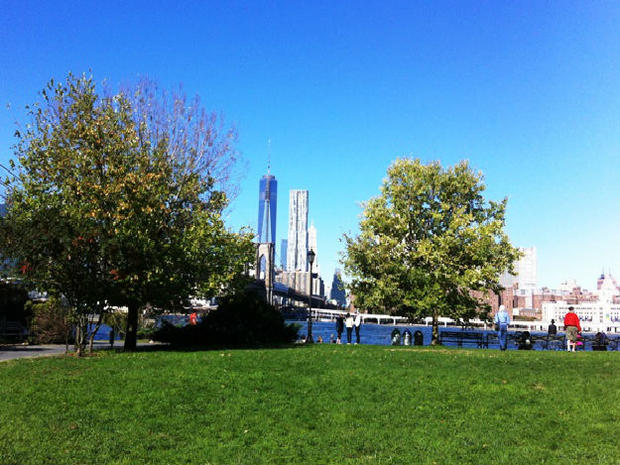 Brooklyn Bridge Park View 