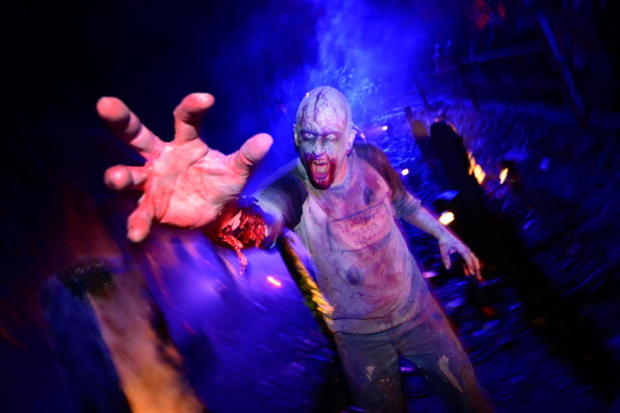 Frankenstein Castle Celebrates Halloween 