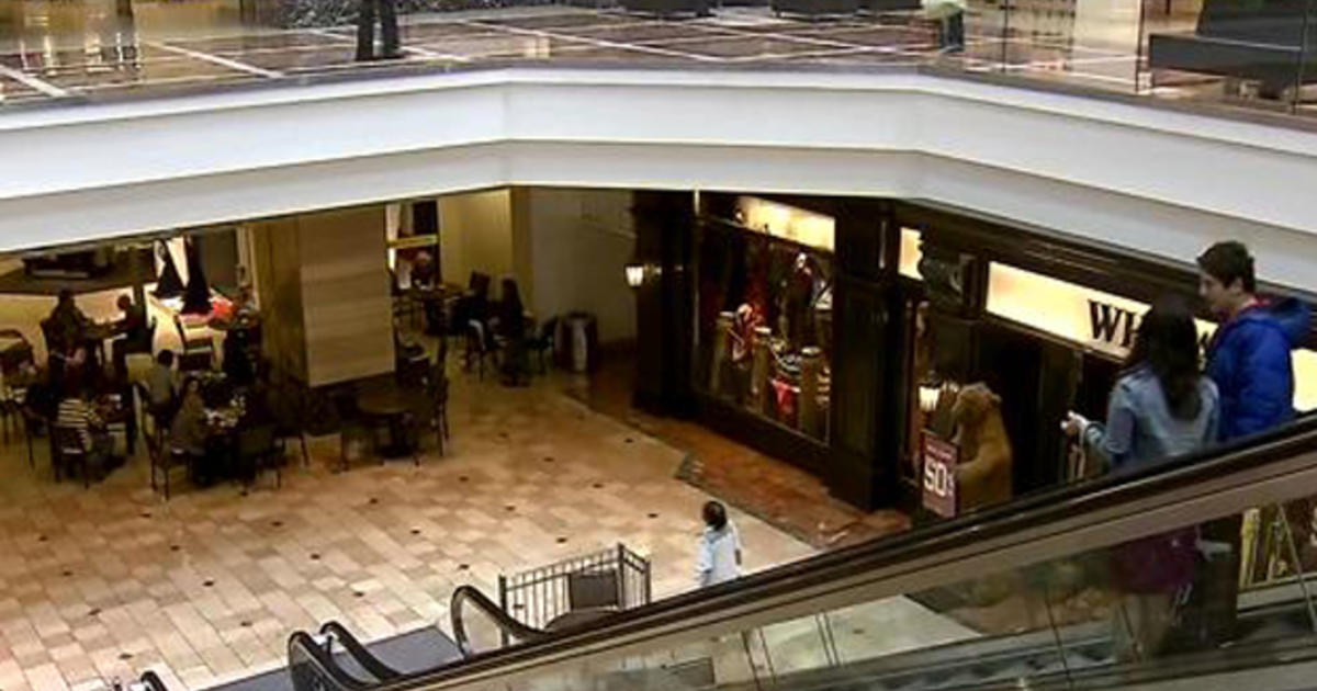 Zinburger Sues Garden State Plaza Over Mall Renovation That