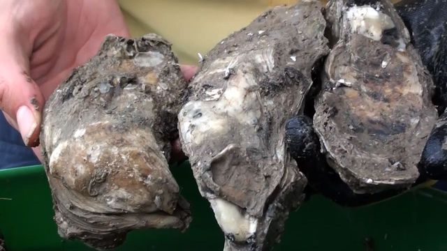 NP_1126_Texas_640x360.jpg 