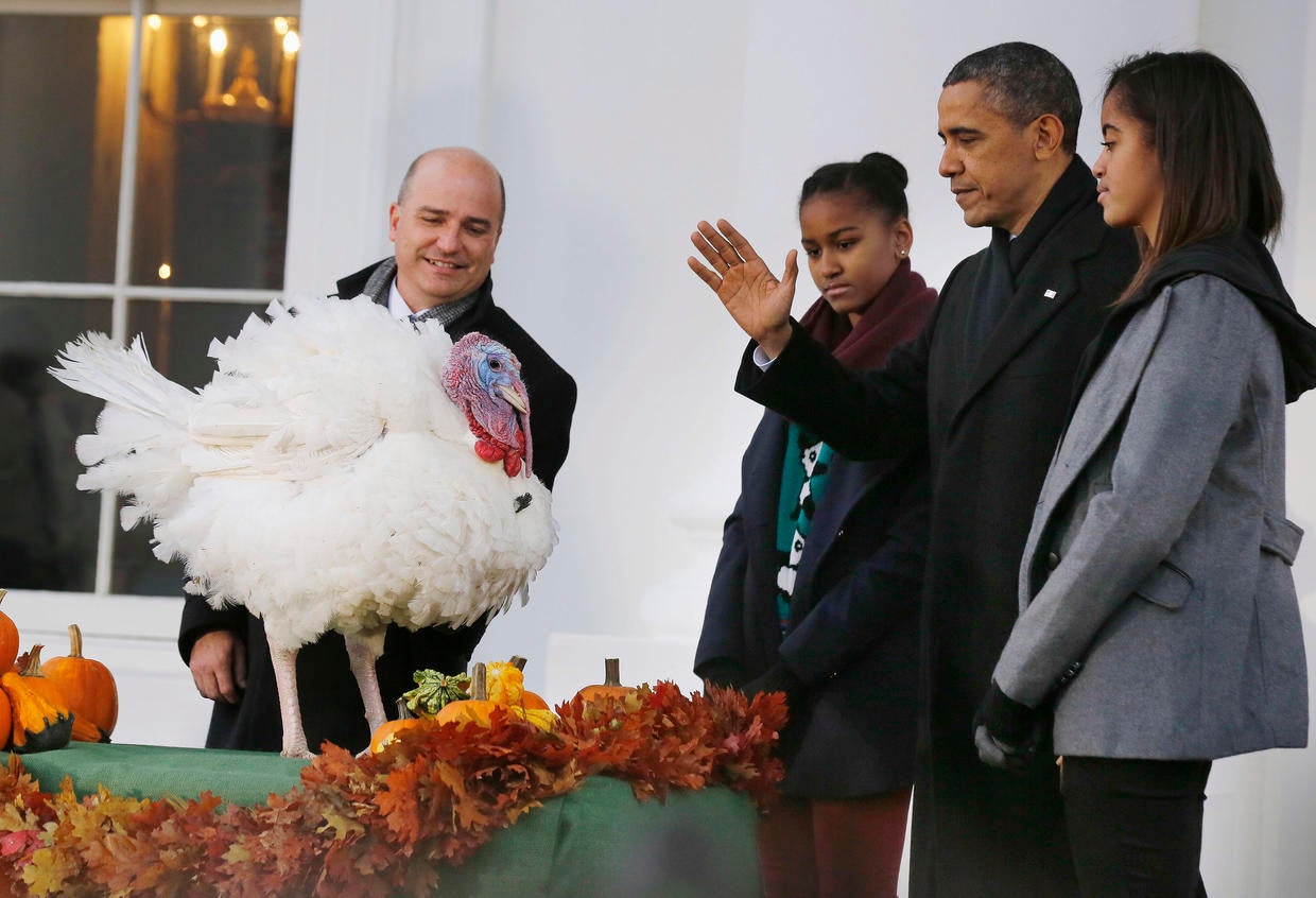 A Look At The History Of The White House Turkey Pardon As Obama ...