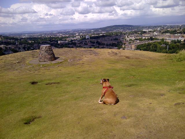 033_TJ at the top of Blackford Hill in Edinburgh.jpg 