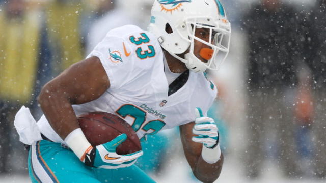 miami-dolphins-v-pittsburgh-steelers12813.jpg 