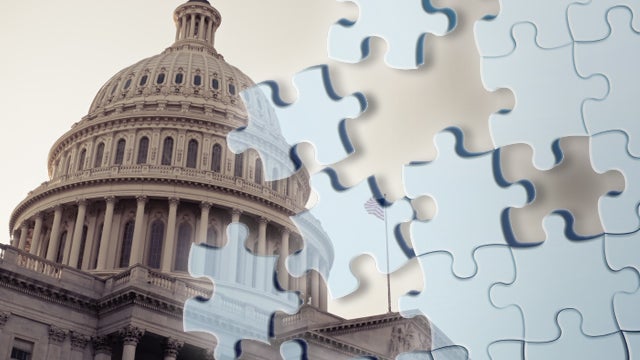 capitol_puzzle.jpg 