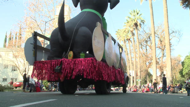 parade-float-dog.jpg 
