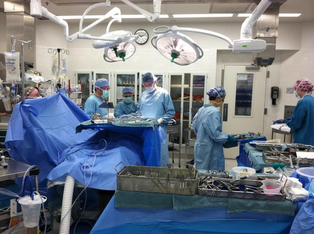 20 Scrubbed in before surgery starts.JPG 