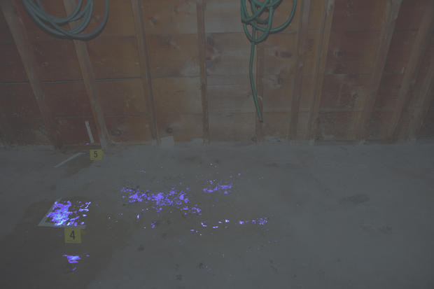 The chemical luminol glows in the dark when it interacts with blood, and when investigators applied it to the garage floor, it lit up a path. 