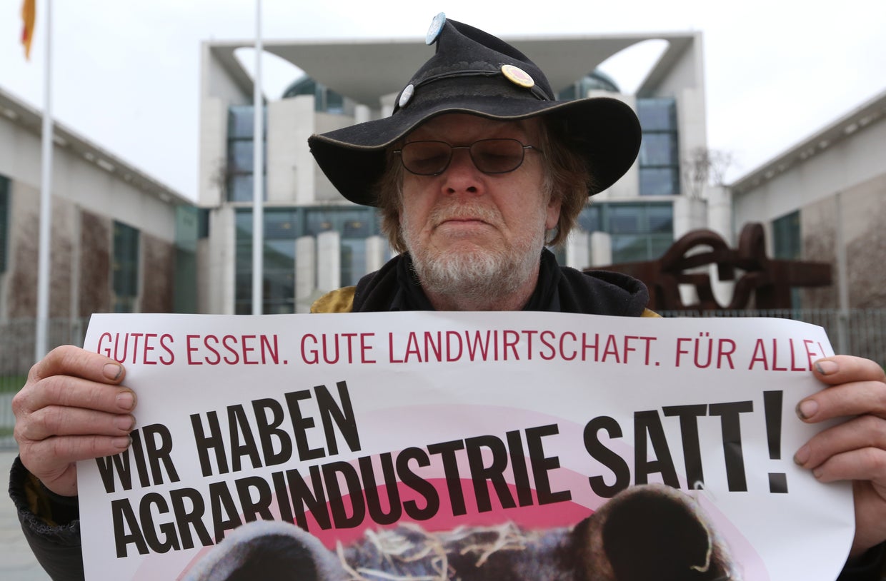 German protest goes hog wild