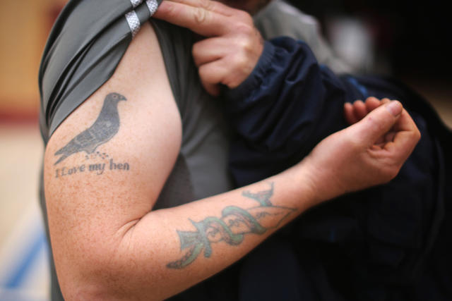 Pigeon Tattoo Design Images (Pigeon Ink Design Ideas) | Pigeon tattoo,  Tattoos, Nature tattoos